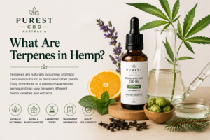 What are terpenes in hemp with broad-spectrum CBD oil, hemp leaves and laboratory testing