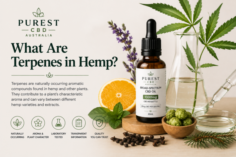What are terpenes in hemp with broad-spectrum CBD oil, hemp leaves and laboratory testing